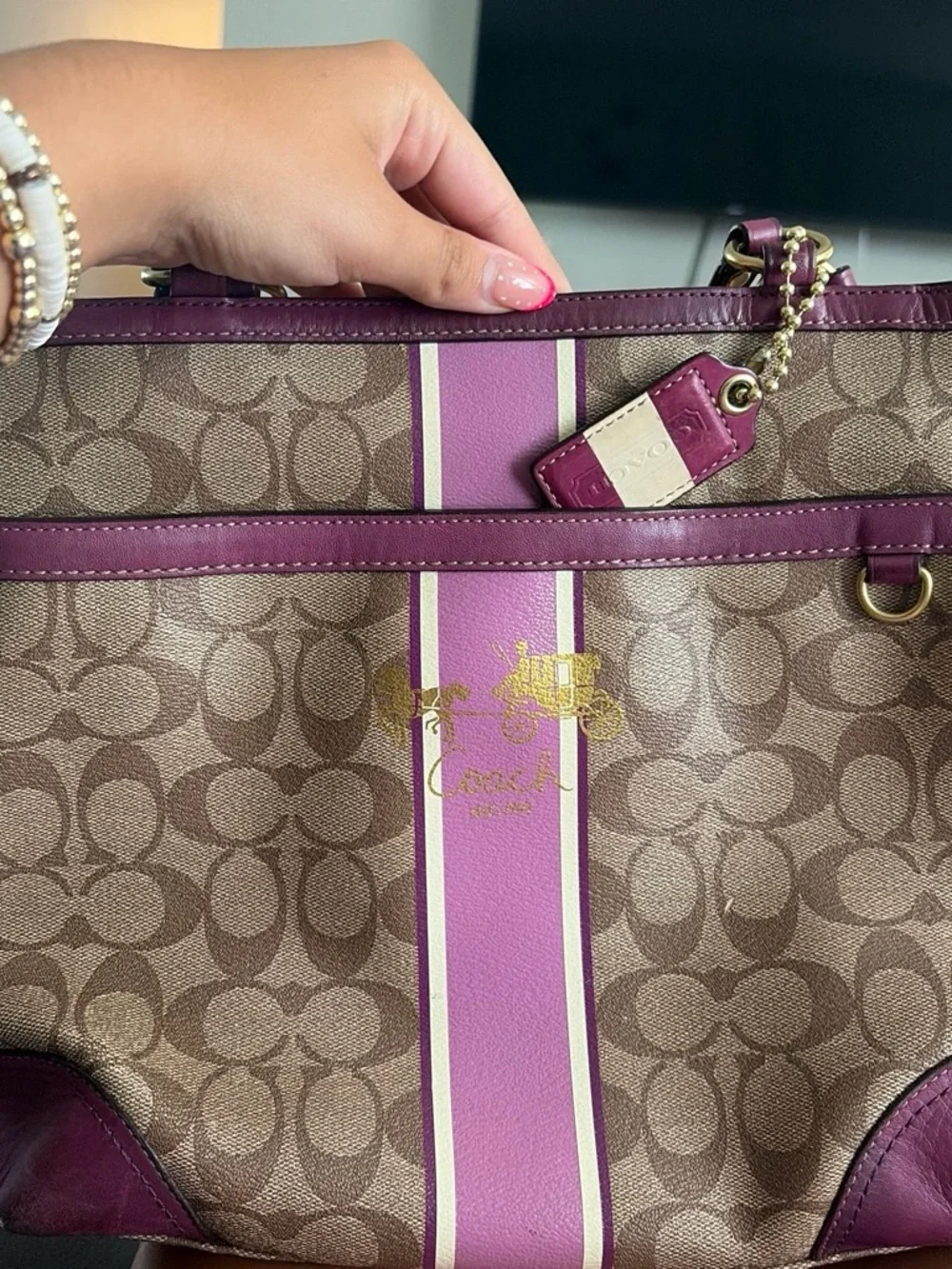 Coach Signature Stripe Tote in Brown and Plum